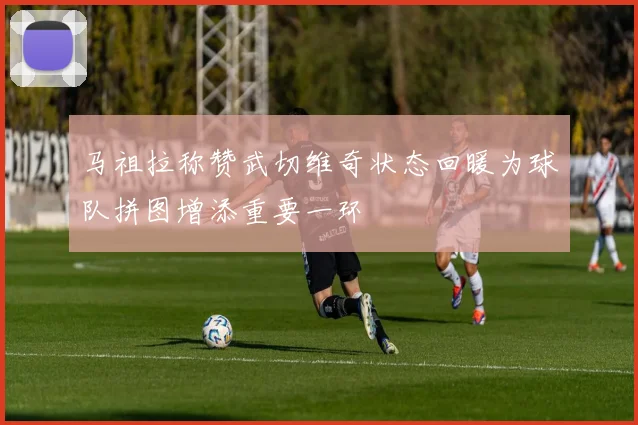 马祖拉称赞武切维奇状态回暖为球队拼图增添重要一环