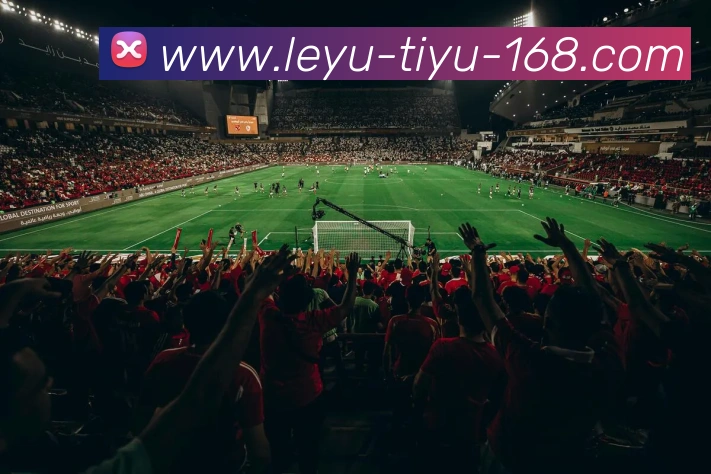 多媒体互动体验